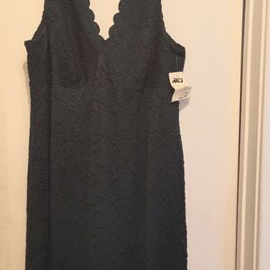 Dress Barn Collection